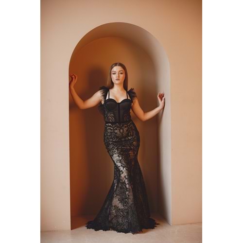 Lace Noir Elegance Dress
